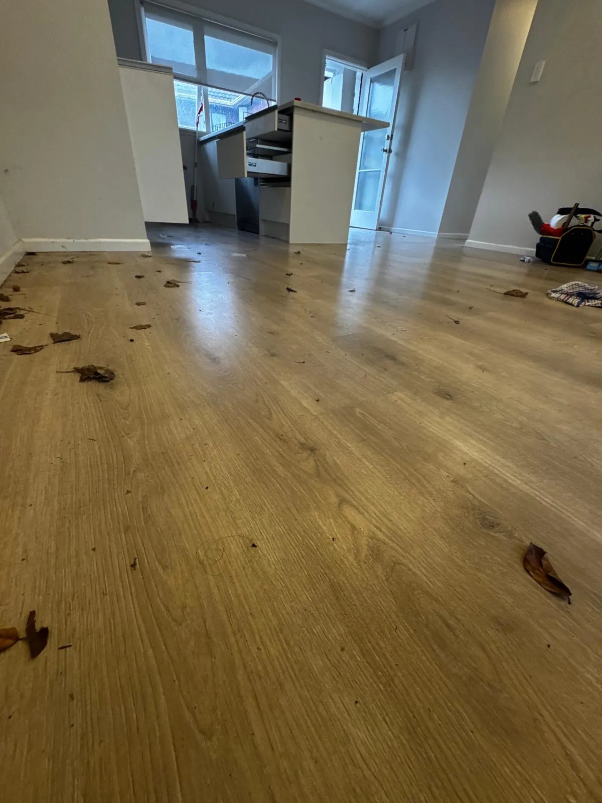 End of tenancy kitchen cleaning Auckland — floors and kitchen before the final clean