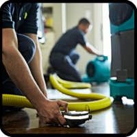 In need of water damage clean-up services in Auckland? Contact our 24/7 water removal experts online or call us at 020 4034 3427. What Causes Water Damage.